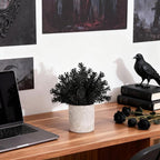 Der Rose 3 Pack Mini Potted Fake Plants Artificial Plastic Eucalyptus Plants Topiaries for Home Office Desk Farmhouse Shelf Room Bathroom Decor(Black)