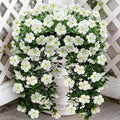 Artificial Geranium Hanging Flowers for Outdoor Decoration, 2 Bundles UV Resistant Silk Geranium Fake Plants Faux Flowers for Front Porch Garden Patio Window Box Outside Indoor Decor (White)