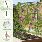 Cucumber Trellis, Metal Garden Arch Trellis for Raised Bed, 32 x 48inch U-Shape Garden Trellis for Climbing Plants Outdoor, Vegetables Fruit Plant Support with Netting, Gardening Supplies (Green)