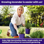 NatureZ Edge1500 English Lavender Seeds for Planting Outdoors or Indoors, 90% Germination, Lavender Plants, Non-GMO, Heirloom Herb Seeds (1 Pack)