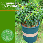 LEOBRO Plant Support, 8PCS Peony Cages and Supports, Plant Stakes for Indoor Plants, Outdoor Plants, Metal Garden Stakes, Plant Holders, Tomato Monstera Hydrangea Support Cage, 10" W x 15.8" H