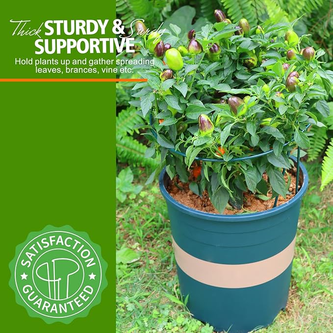 LEOBRO Plant Support, 8PCS Peony Cages and Supports, Plant Stakes for Indoor Plants, Outdoor Plants, Metal Garden Stakes, Plant Holders, Tomato Monstera Hydrangea Support Cage, 10" W x 15.8" H