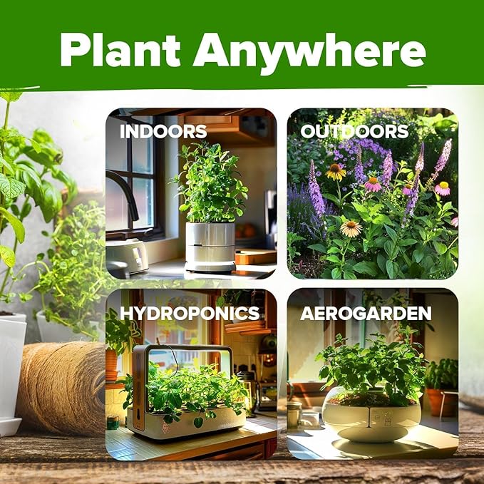 HOME GROWN Medicinal Herb Seeds Vault – 2,000+ Seeds, 6 Non GMO Heirloom Varieties for Indoor & Outdoor Garden – Lavender, Chamomile, Mint, Lemon Balm, Peppermint, Echinacea