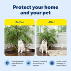 PetSafe SSSCAT Motion Activated Automatic Spray Pet Deterrent for Cats and Dogs