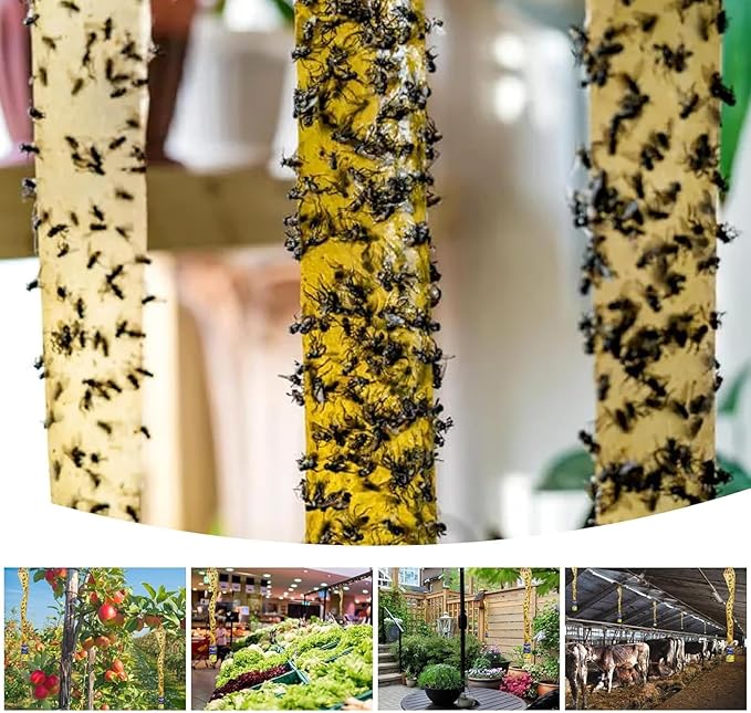 24 Pack Fly Traps Strips Indoor Outdoor, Flies Paper Sticky Hanging with Pins, Fruit Fly Tape Ribbon Roll for Home, Bug & Gnat Catchers for Inside, House Fly Killer for Winged Insect, Mosquito