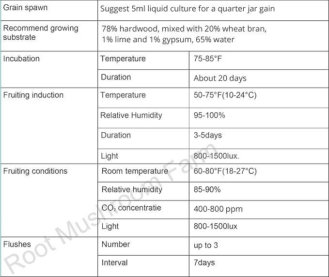 Root Mushroom Farm- Mushroom Liquid Cultures/10ml Syringe/Phoenix Oyster Mushroom(Pleurotus pulmonarius)