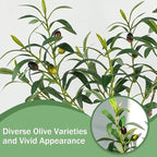 Caxchiling Fake Olive Plants 2FT, Artificial Small Olive Tree Indoor, Faux Potted Plants Decor for Tabletop, Desk, Shelf, Office, Kitchen, Living Room, Bedroom, Bathroom