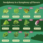 23 Lettuce & Salad Greens Seeds Variety Pack - 25,000+ Non-GMO Heirloom Greens Seeds for Planting Lettuce Indoor & Outdoor: Arugula, Mizuna, Kale, Spinach, Swiss Chard, Mache & More Lettuce Seeds