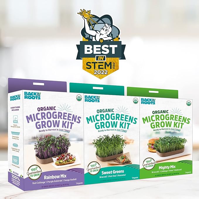 Back to the Roots DIY Microgreen Grow Kit, 6-Grow Variety Pack & Easy to Grow Houseplants (6 Pack), Live House Plants in Plant Containers, Growers Choice Plant Set in Planters