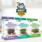 Back to the Roots DIY Microgreen Grow Kit, 6-Grow Variety Pack & Easy to Grow Houseplants (6 Pack), Live House Plants in Plant Containers, Growers Choice Plant Set in Planters