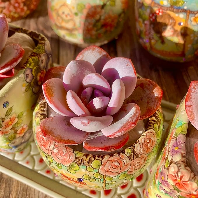 Echeveria Laui Succulent Kit - with Plastic Pot, 1 Head 2" Live Plant, Compressed Soil & Guide, for Garden Indoor Office Desk (1, Echeveria Laui)