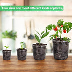 Bluepro 36 Packs 7/5/4/3.5 Inch Reinforced Clear Nursery Pots with Drainage Hole, Transparent Variety Pack Plastic Plant Pot Seedling Planter for Vegetable Propagation, Root Cutting, Seed Starting