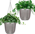 QCQHDU Self Watering Hanging Pots, 2 Pack 5.7 Inch Hanging Planters for Plants Indoor, Flower Pots with Drainage Holes and 3 Hooks Chains for Garden Home (Gray)