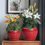 Ceramic Plant Pots, 10+8+6 Inch Ceramic Planters with Drainage Holes and Saucers, Round Decorative Pots for Plants Indoor Outdoor, House Decor, Gifts for Plant Lovers, Set of 3, Bright Red