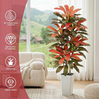 Artificial Red Dracaena Tree - 6FT Tall Fake Plants with White Tall Planter - Artificial Plants Indoor Floor Plant in Pot - Large Tropical Fake Yucca Potted Tree for Home Office Living Room Decor