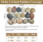 FANTIAN 40 lbs Garden Rocks Mexican Beach Pebbles, 3-4 Inch Decorative Large River Rocks for Landscaping Aquarium Yard Garden Paving Large Plant Crafting and Walkways