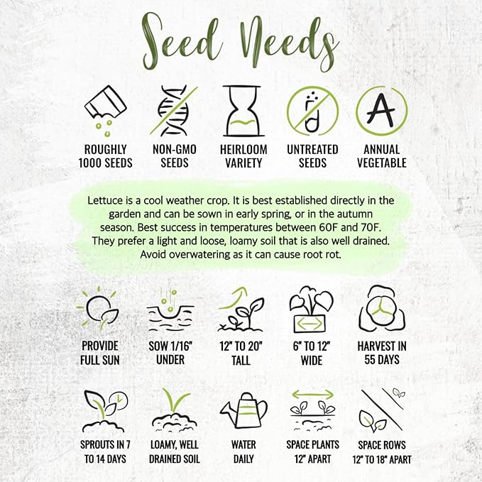 Seed Needs Romaine Lettuce Seeds Variety Pack for Planting a Collection of 2 Individual Varieties - Packets Include Red Romaine & Parris Island COS