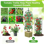 Raised Garden Bed Planter Box with Trellis, 71" Self-Watering Tomato Planter with Trellis for Climbing Vegetable and Plants, Tomato Cage Planters for Indoor Outdoor Patio Greenhouse Gardening (1Pack)