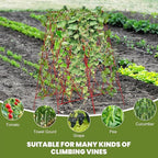 Cucumber Trellis 2 Pack, Foldable A-Frame Garden Trellis for Raised Bed Garden Grow Support with Plant Support Clips, Twist Ties, Plastic Ties, for Cucumber,Tomato, Climbing Plants and Flowers