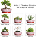Bonsai Pots Small - 6 Inch Ceramic Succulent Pots with Drainage Hole and Ceramic Saucer, Succulent Planters Indoor Outdoor, Shallow Round Planter, Apartment Decor, Housewarming Gifts, Red