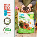 Back to the Roots All-Purpose Potting Mix 6 Quarts (Best Value), 100% Organic & USA Made for Herbs, Veggies, Flowers, w/Nutrient Rich Plant Food, Worm-Castings, & Moisture Controlling Yucca, 2 Packs