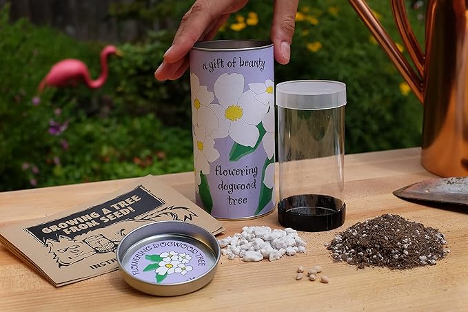 Pacific Dogwood | Tree Seed Grow Kit | The Jonsteen Company