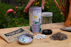 Pacific Dogwood | Tree Seed Grow Kit | The Jonsteen Company
