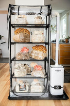 North Spore BoomRoom II Automated Mushroom Grow Tent Kit | Complete Martha Tent System with Humidity & FAE Control | 5-Rack Fruiting Chamber for Indoor Mycology | High-Yield Monotub Alternative