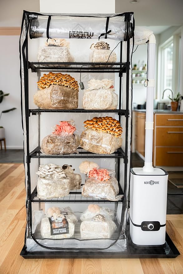 North Spore BoomRoom II Automated Mushroom Grow Tent Kit | Complete Martha Tent System with Humidity & FAE Control | 5-Rack Fruiting Chamber for Indoor Mycology | High-Yield Monotub Alternative