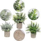 Flojery Mini Potted Plants Artificial Eucalyptus Boxwood Rosemary Faux Herbs Small House Plants 8.3"-9" Tall for Indoor Greenery Tabletop Décor Centerpiece (Sprayed Eucalyptus)