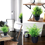 GREENTIME 2 Pack Fake Plants in Black Pot Small Artificial Plant Wheat Grass for Home Decor Faux Fern Greenery Indoor Bathroom Shelf Home Office Desk Bedroom Cabinet Kitchen Table Decorations