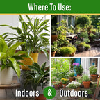 Elm Dirt Plant Juice Organic Fertilizer for All Plants - Indoor or Outdoor (32 oz Bottle)