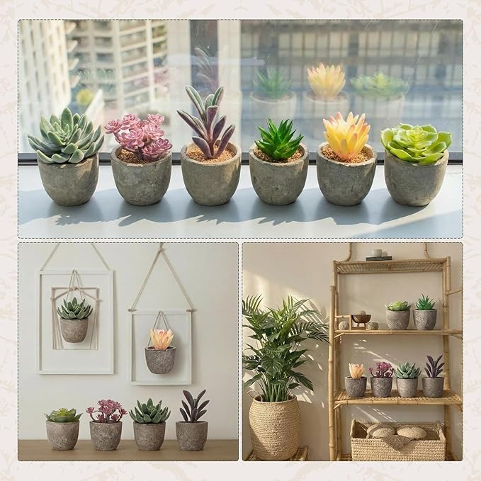 Set of 6 Artificial Succulents Potted - Realistic Mini Fake Cactus Plants in Paper Pulp Pots, 2-4'' Mixed Sizes for Farmhouse Shelf, Bathroom, Coatrack Shelf, Bedroom Indoor(Classic Style)
