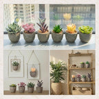 Set of 6 Artificial Succulents Potted - Realistic Mini Fake Cactus Plants in Paper Pulp Pots, 2-4'' Mixed Sizes for Farmhouse Shelf, Bathroom, Coatrack Shelf, Bedroom Indoor(Classic Style)