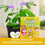 Mother’s Day Gift for Mom – TickleMe Plant – Moves When Touched – Grows Pink Flowers – “I’m Tickled You’re My Mom” – Unique Gift from Kids – Easy Indoor Kit