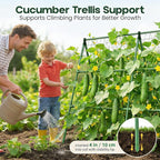 50x50 Cucumber Trellis for Raised Bed - A Frame Garden Trellis for Climbing Plants Outdoor - Cucumbers, Pea, Zucchini, Squash,Tomato, Green Bean, Vine, Watermelon, Melon, Pumpkin