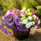 Fanfantoey Artificial Silk Morning Glory Faux Flowers for Porch Patio Gardens Home Decor, 4 Mixed