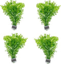 SubstrateSource Live Aquarium Stem Plants - Freshwater Aquatic Plant for Fish Tanks, Aquascaping - (Limnophila Heterophylla, 4 Bunches)
