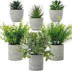 Chunful 6 Pack Small Artificial Greenery Potted Plants Indoor Mini Fake Eucalyptus Rosemary Succulents in Pulp Rustic Farmhouse Table Centerpiece for Shelf Bathroom Bedroom Kitchen Office