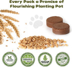 6 Pack Natural Cat Grass Seeds Growing Kit, Easy Growing Pet Grass for Cat & Kittens Indoor Garden, Fresh Cats Grass Set for Chewing, Quick Germination, Ideal for Beginners, Pet Safe