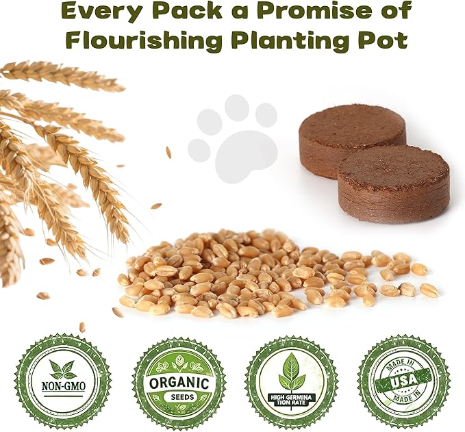 6 Pack Natural Cat Grass Seeds Growing Kit, Easy Growing Pet Grass for Cat & Kittens Indoor Garden, Fresh Cats Grass Set for Chewing, Quick Germination, Ideal for Beginners, Pet Safe