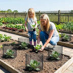 Plant Protector from Animals, 6 Set Plant Cages for Outdoor Plants 12'' x 16'' Metal Wire Protectors for Plants, Protection Cages with Stakes & Zip Ties, to Keep Rabbits Chicken Duck Out for Garden