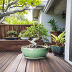 SQOWL Succulent Planter 12 Inch - Ceramic Bonsai Pots with Drainage Hole and Saucer, Large Shallow Planter, Bowl Round Planter for Indoor Outdoor Plants Flower, Room Decor, Birthday Gifts, Green