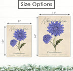 November Birth Flower Art Print - 11x14 (Unframed) | Capturing the Splendor of the November Birth Flower | Decor Accent for Birthdays and Special Occasions | Living Room Decor | Modern Home Decor