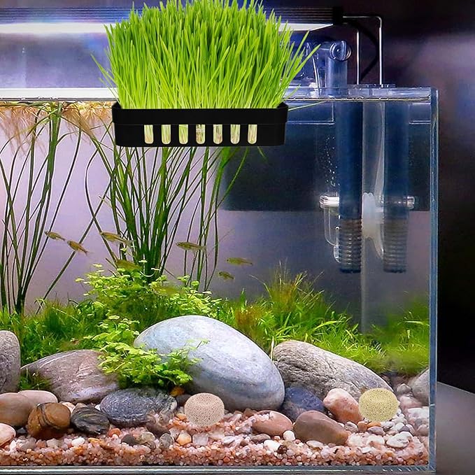 BESPORTBLE 2pcs Aquatic Plant Rack Fish Tank Hanger Plant Basket Hooks Aquarium Supplies Decorative Hanging Planter for Fish Tanks