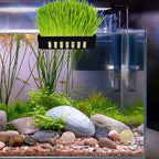 BESPORTBLE 2pcs Aquatic Plant Rack Fish Tank Hanger Plant Basket Hooks Aquarium Supplies Decorative Hanging Planter for Fish Tanks