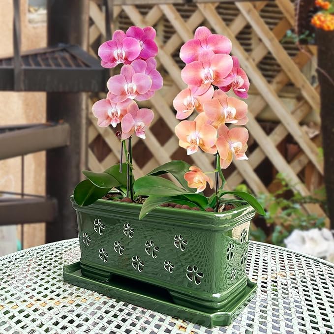 Ceramic Orchid Pot 10 * 4.3 * 4.3Inch Orchid Planter with Holes for Repotting Indoor Flower Plant Pot with Drainage and Saucer, Arctic Green