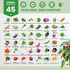 45 Heirloom Vegetable Seeds Variety Pack - 17,000+ Garden Seeds for Planting Indoor & Outdoor - Seed Vault Kit with Tomato, Cabbage- Home Garden Seeds for Hydroponic, Women, Friend Gift
