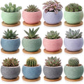 Thenshop 12 Pcs Small Succulent Pots Set with Drainage 3 Inch Plant Pots Ceramic Succulent Planters with Bamboo Saucers 6 Colors Small Planters for Cactus, Herbs, Mini Plants