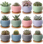 Thenshop 12 Pcs Small Succulent Pots Set with Drainage 3 Inch Plant Pots Ceramic Succulent Planters with Bamboo Saucers 6 Colors Small Planters for Cactus, Herbs, Mini Plants